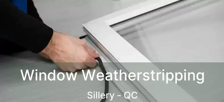  Window Weatherstripping Sillery - QC
