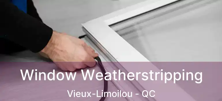  Window Weatherstripping Vieux-Limoilou - QC