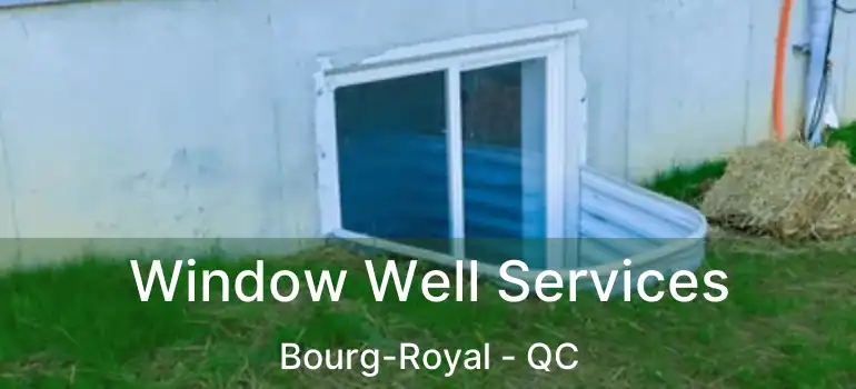  Window Well Services Bourg-Royal - QC