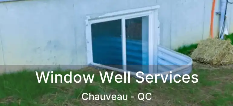  Window Well Services Chauveau - QC