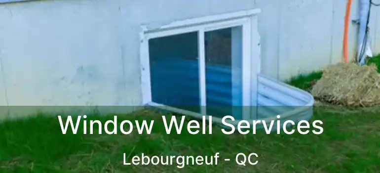  Window Well Services Lebourgneuf - QC