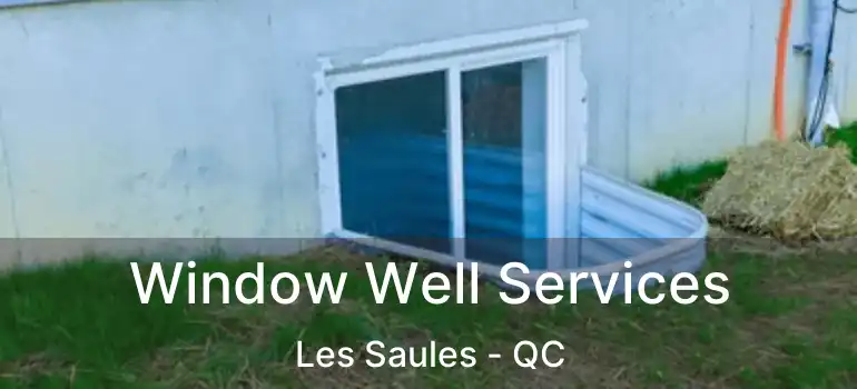  Window Well Services Les Saules - QC