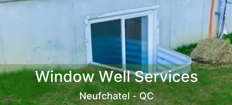  Window Well Services Neufchatel - QC