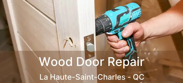  Wood Door Repair La Haute-Saint-Charles - QC