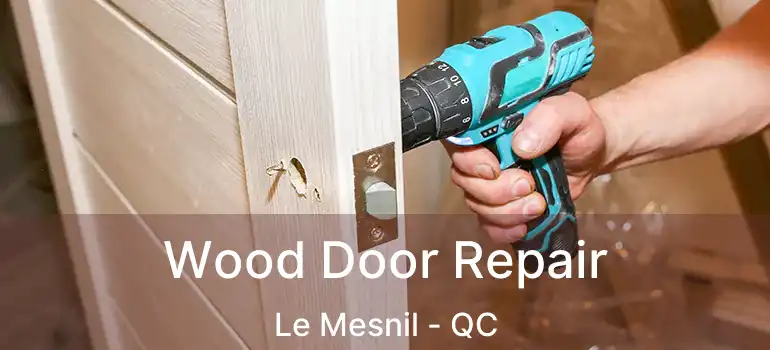  Wood Door Repair Le Mesnil - QC